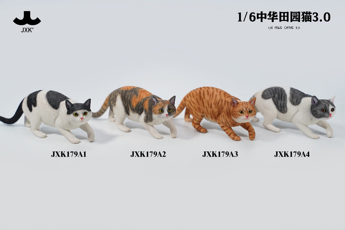 JXK 1/6 中華田園貓3.0 1/6 Felis Catus 3.0 – bidToys