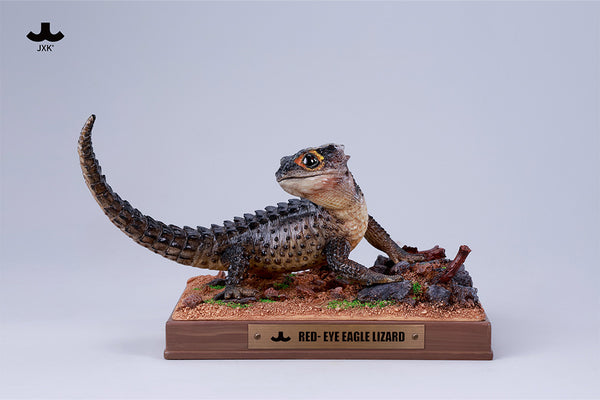 JXK 紅眼鷹蜥 Tribolonotus gracilis (預購商品)