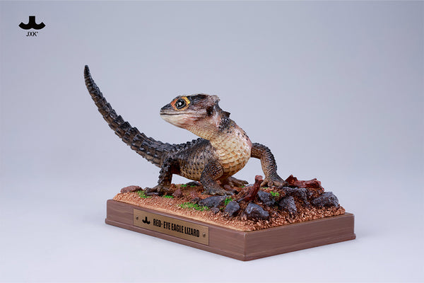 JXK 紅眼鷹蜥 Tribolonotus gracilis (預購商品)