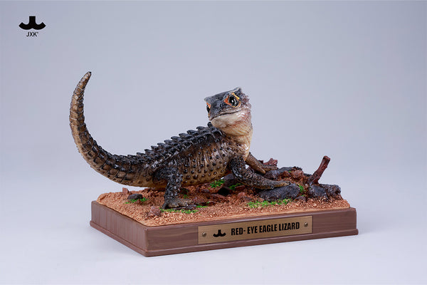 JXK 紅眼鷹蜥 Tribolonotus gracilis (預購商品)