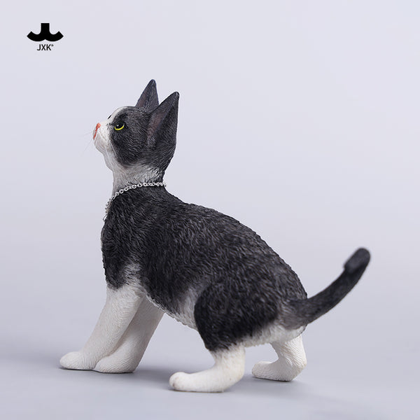 JXK 1/6德文卷毛貓4.0 1/6 Scale Devon Rex Cat Figurine V4