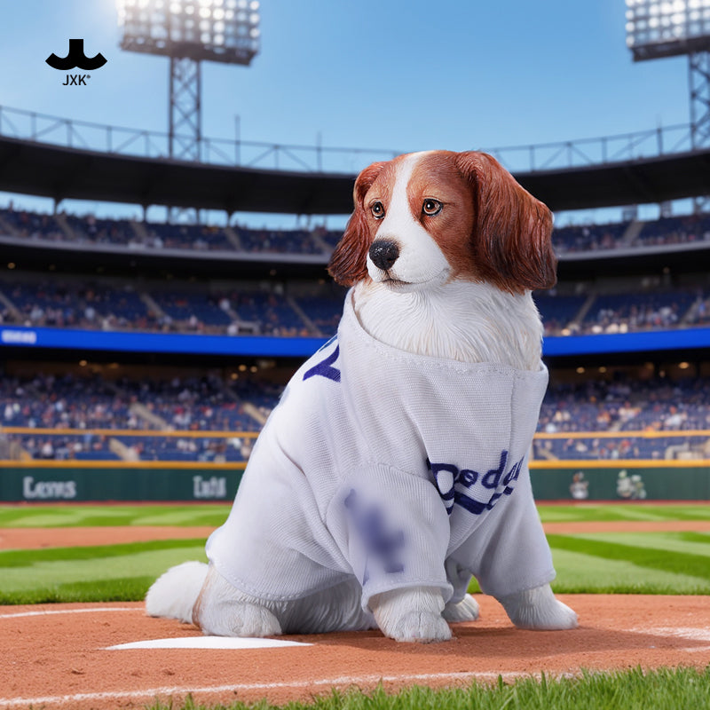 JXK 科克爾犬 Kooikerhondje (預購商品)