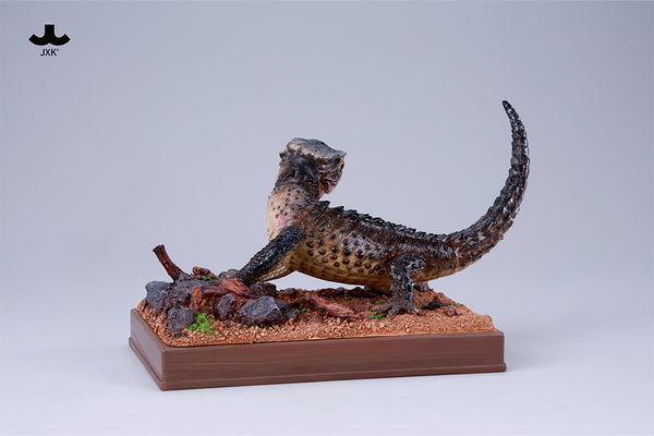JXK 紅眼鷹蜥 Tribolonotus gracilis (預購商品)