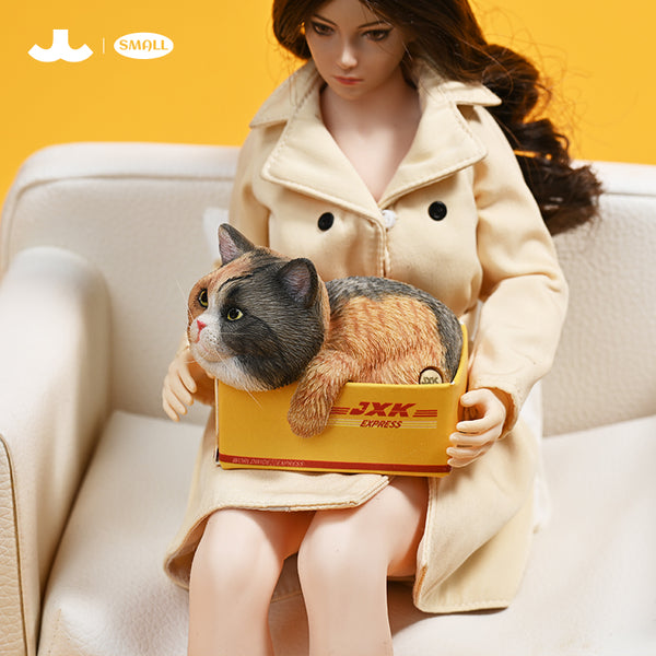 JXK 1/6快遞貓4.0 The cat in the delivery box4.0