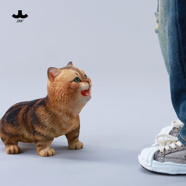 JXK 哇哇貓 Kitten Cat (預購商品）