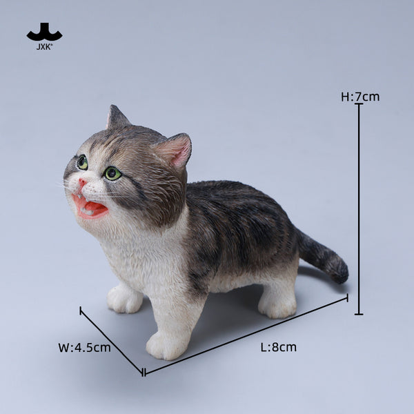 JXK 哇哇貓 Kitten Cat (預購商品）