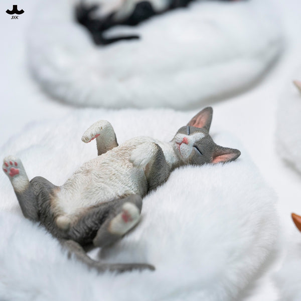 JXK 休憩小德文 Resting Little Devon-Rex (預購商品)