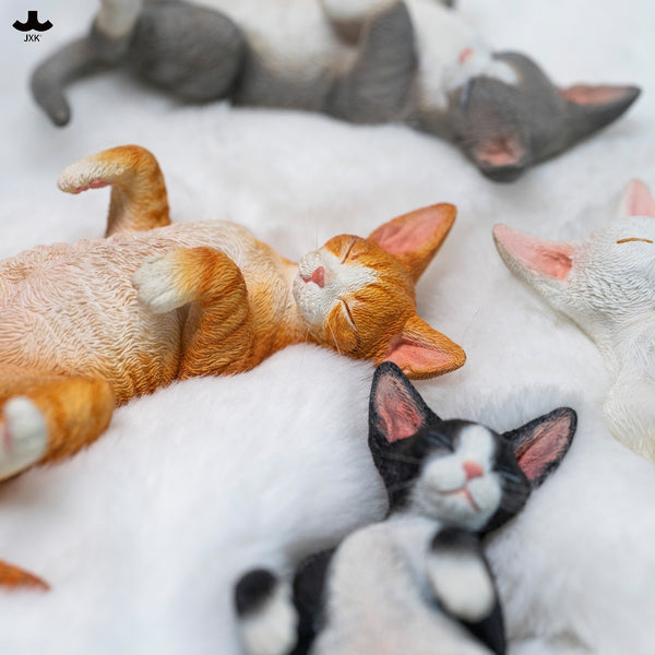 JXK 休憩小德文 Resting Little Devon-Rex (預購商品)