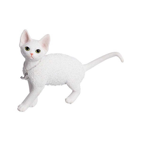 JXK 1/6德文卷毛貓4.0 1/6 Scale Devon Rex Cat Figurine V4