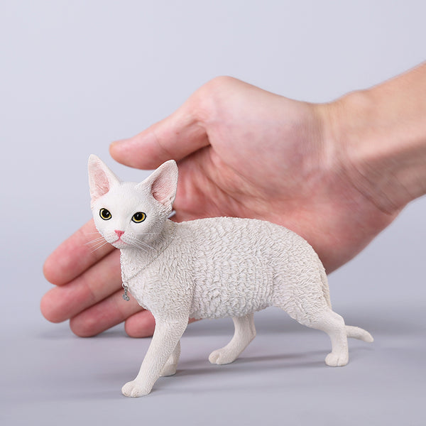 JXK 1/3德文卷毛貓3.0 1/3 Scale Devon Rex Cat