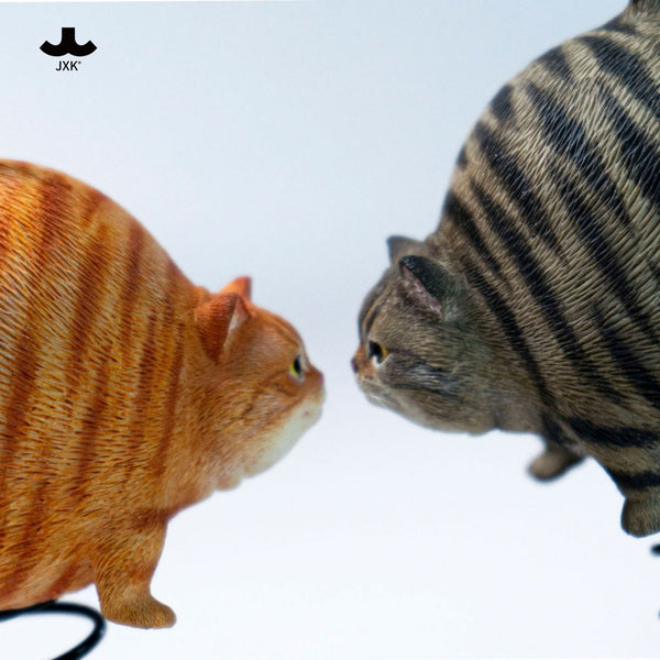 JXK 球貓 Bouncy Ball Cat (預購商品)