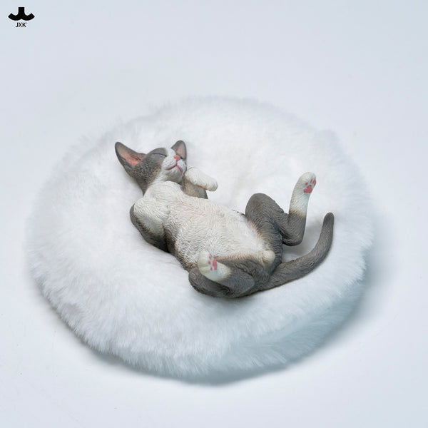 JXK 休憩小德文 Resting Little Devon-Rex (預購商品)