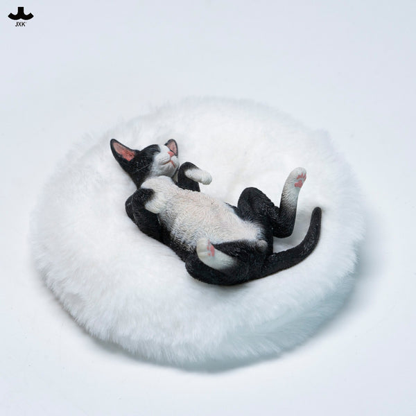 JXK 休憩小德文 Resting Little Devon-Rex (預購商品)