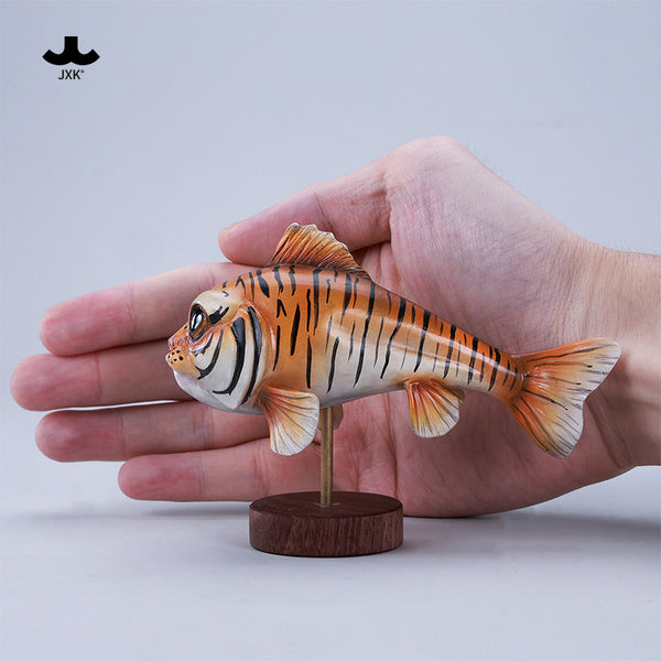 JXK 虎咕魚 Tiger-Growl Fish (預購商品)