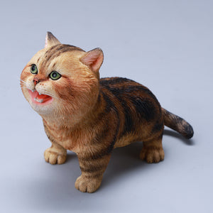 JXK 哇哇貓 Kitten Cat (預購商品）