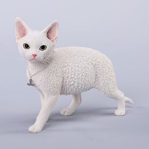 JXK 1/3德文卷毛貓3.0 1/3 Scale Devon Rex Cat