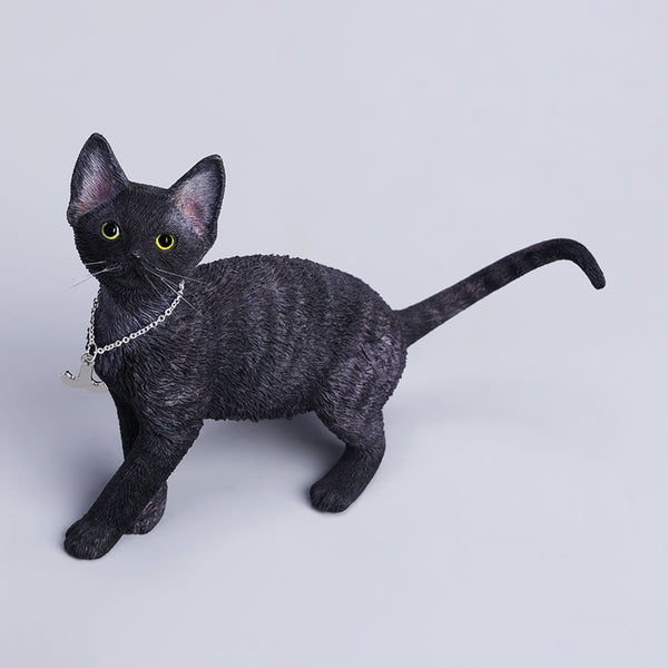 JXK 1/6德文卷毛貓4.0 1/6 Scale Devon Rex Cat Figurine V4