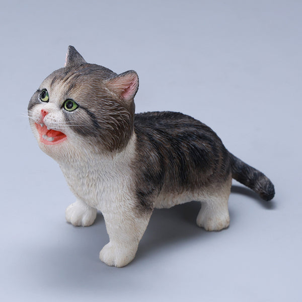 JXK 哇哇貓 Kitten Cat (預購商品）