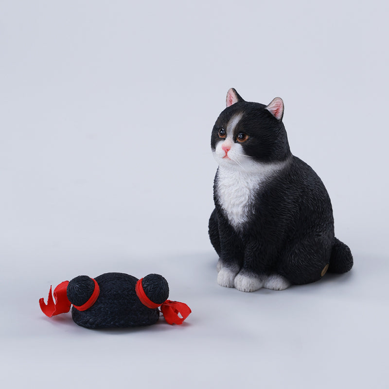 萌猫 超萌猫🐱猫图案.