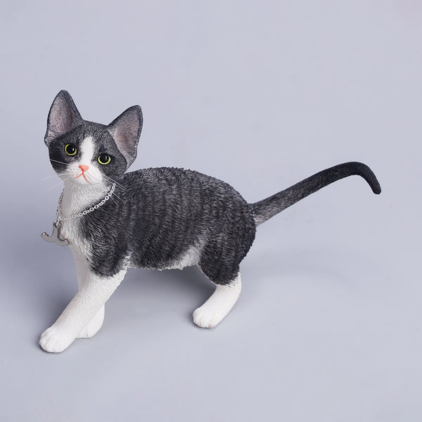 JXK 1/6德文卷毛貓4.0 1/6 Scale Devon Rex Cat Figurine V4