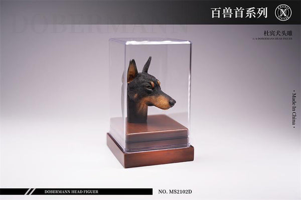 JXK 1/6百獸首系列 杜賓犬頭雕 Doberman Head Figuer