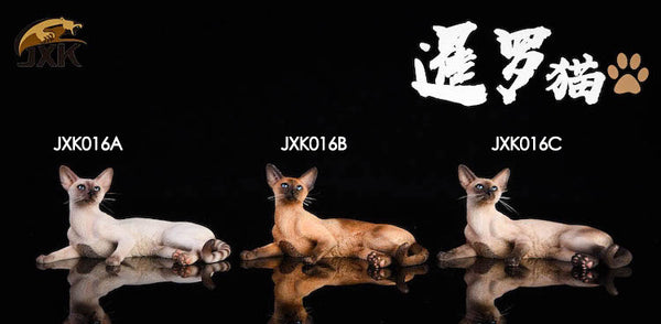 JXK 1/6 暹羅貓 趴姿 / 坐姿 Siamese cat Prone position / Sitting posture
