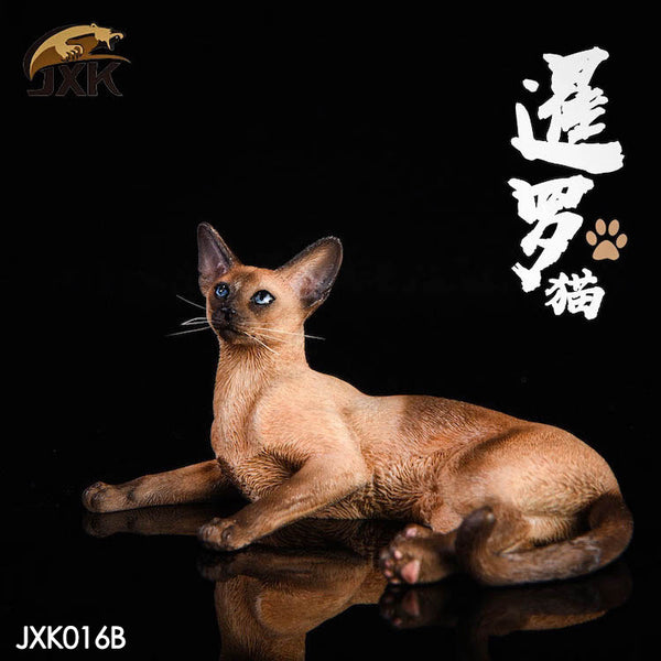 JXK 1/6 暹羅貓 趴姿 / 坐姿 Siamese cat Prone position / Sitting posture