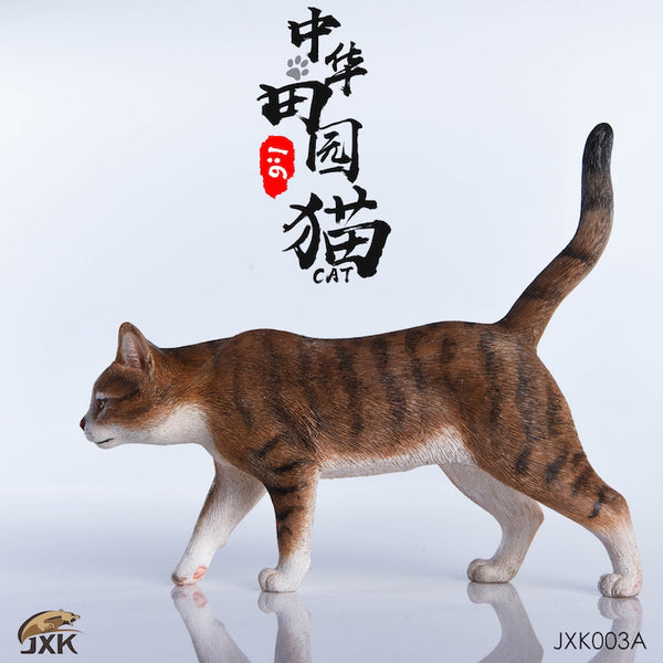 JXK 1/6懶貓系列 中華田園貓 moggie