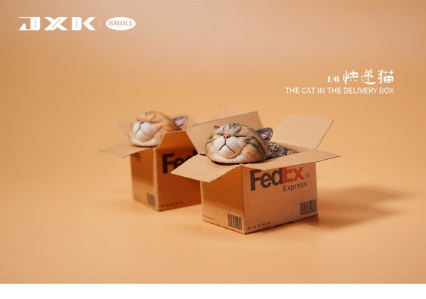 JXK small 快遞貓 The Cat In The Delivery Box