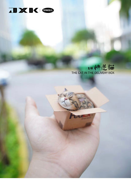 JXK small 快遞貓 The Cat In The Delivery Box